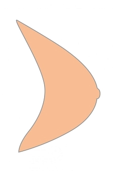 Essential2S_3.jpg