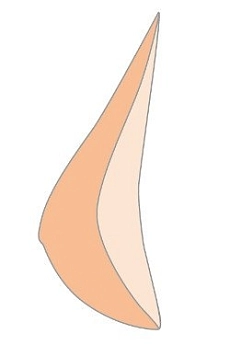 Natura1S_39.jpg