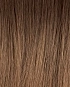 chocolate tipped