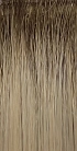 R12-24/14T