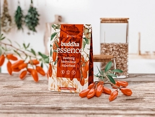 Budha_-_letak_prezentace.jpg