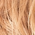 toffeeblonde rooted