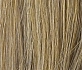 middleblonde