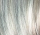 metallicblonde rooted