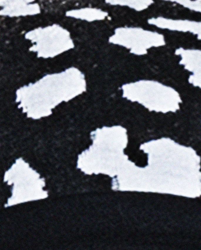 černo-bílá 