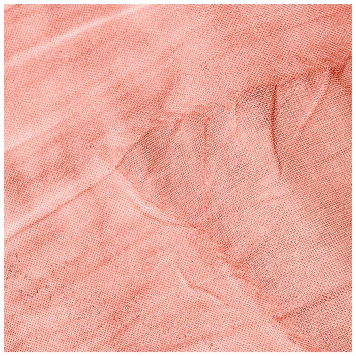 antique rose/leaves 